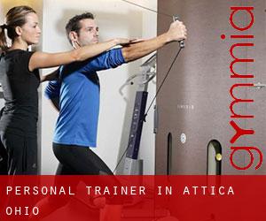 Personal Trainer in Attica (Ohio)