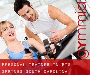 Personal Trainer in Big Springs (South Carolina)