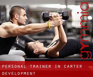 Personal Trainer in Carter Development