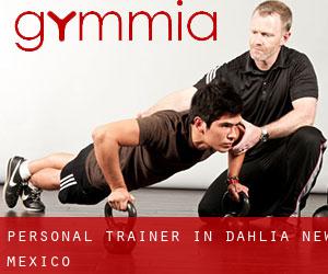 Personal Trainer in Dahlia (New Mexico)