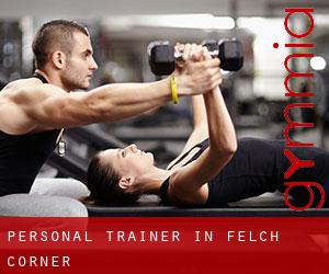 Personal Trainer in Felch Corner