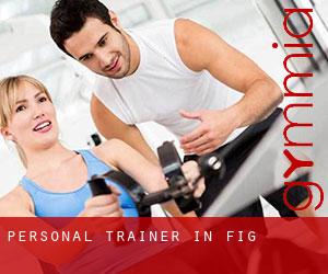 Personal Trainer in Fig