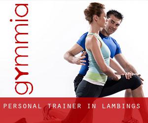 Personal Trainer in Lambings