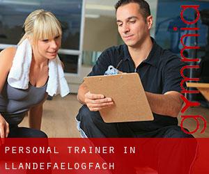 Personal Trainer in Llandefaelogfâch