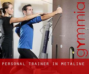 Personal Trainer in Metaline