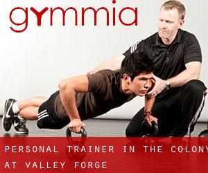 Personal Trainer in The Colony at Valley Forge