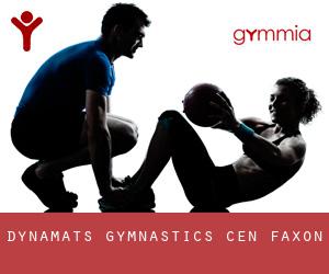 Dynamats Gymnastics Cen (Faxon)