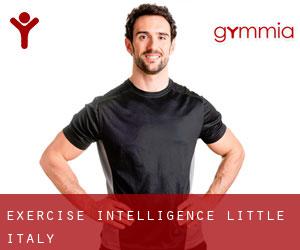 Exercise-Intelligence (Little Italy)