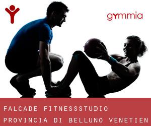 Falcade fitnessstudio (Provincia di Belluno, Venetien)