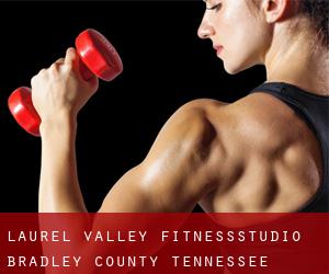 Laurel Valley fitnessstudio (Bradley County, Tennessee)