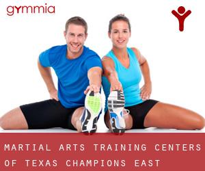 Martial Arts Training Centers of Texas (Champions East)