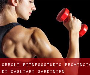 Orroli fitnessstudio (Provincia di Cagliari, Sardinien)