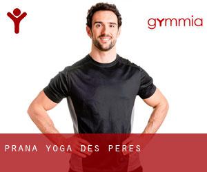 Prana Yoga (Des Peres)