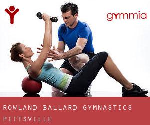 Rowland-Ballard Gymnastics (Pittsville)