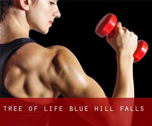Tree of Life (Blue Hill Falls)