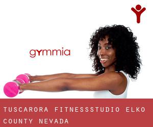 Tuscarora fitnessstudio (Elko County, Nevada)