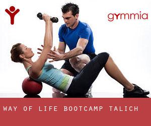 Way of Life Bootcamp (Talich)