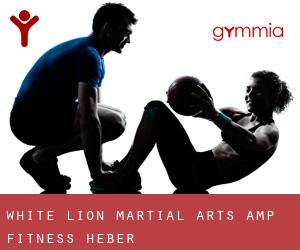 White Lion Martial Arts & Fitness (Heber)